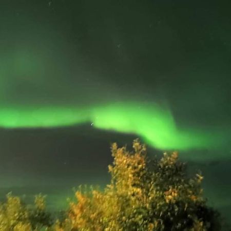Aurora Rooms In Shared Apartment Nr2 We Are Doing Privet Northen Lights Trips, Reindeer Trip And Fjord Sommaroy Trip Tromsø Buitenkant foto