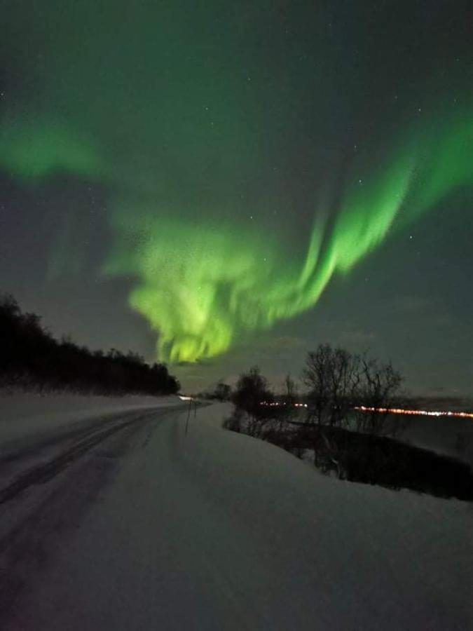 Aurora Rooms In Shared Apartment Nr2 We Are Doing Privet Northen Lights Trips, Reindeer Trip And Fjord Sommaroy Trip Tromsø Buitenkant foto