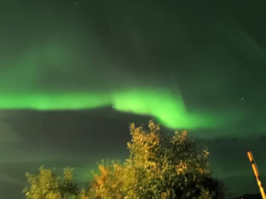 Aurora Rooms In Shared Apartment Nr2 We Are Doing Privet Northen Lights Trips, Reindeer Trip And Fjord Sommaroy Trip Tromsø Buitenkant foto